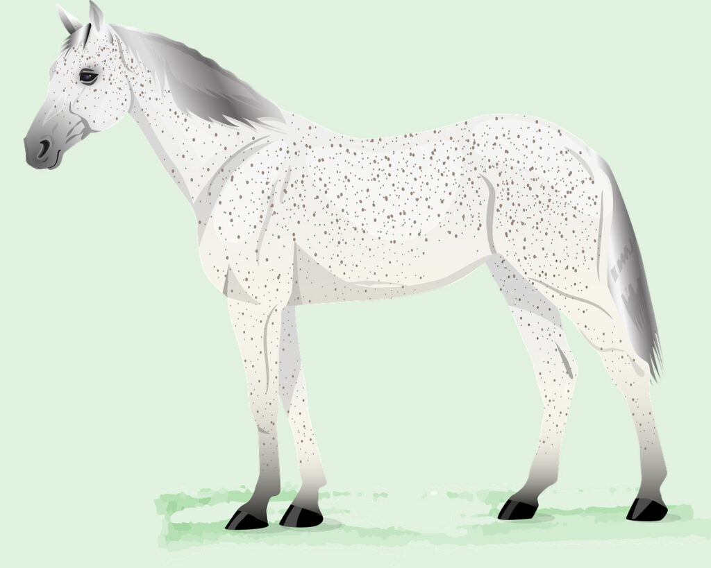 História Infantil A Boneca e o Cavalo Branco